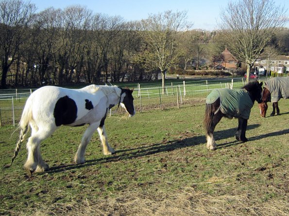Teddy meets Lance (4)
