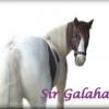 sir_galahad