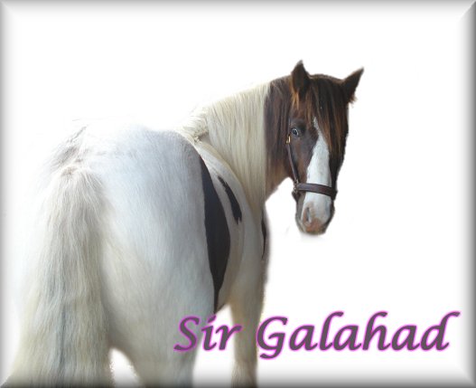 sir_galahad