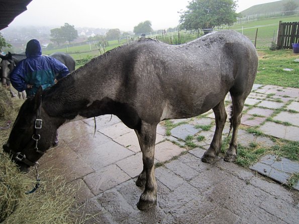 Mus Monster Lance (6)