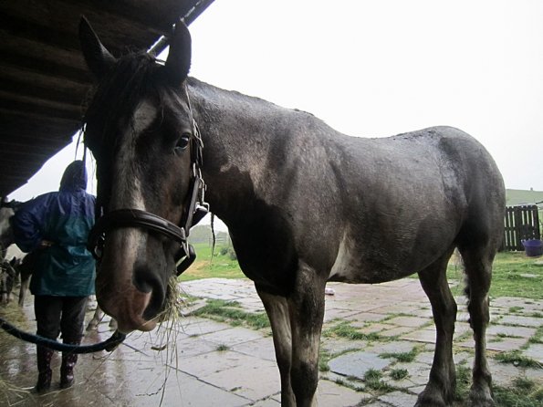 Mus Monster Lance (7)