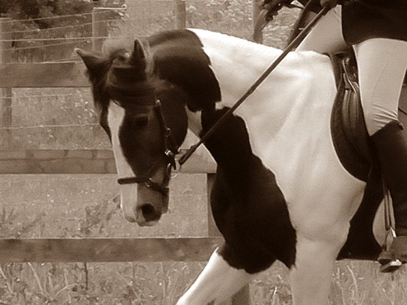 Anna and Lance warmup (3)