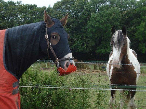 Lucy laughing at Lance