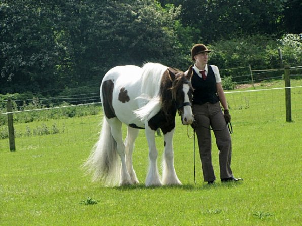 Condition and turnout (10)