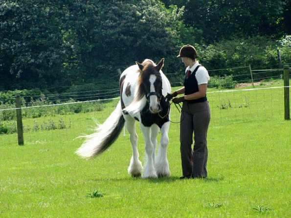 Condition and turnout (11)