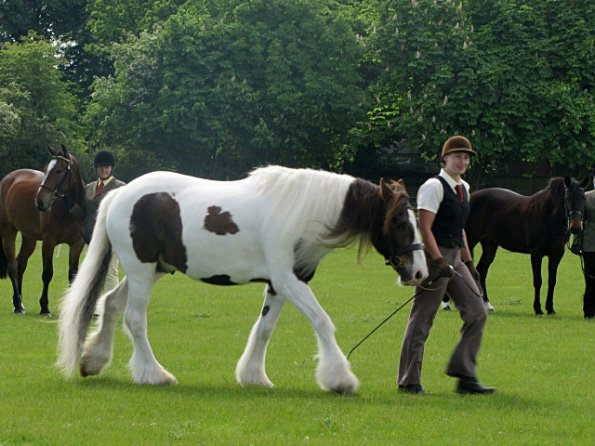 Condition and turnout (12)