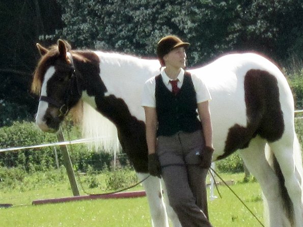 Condition and turnout (3)