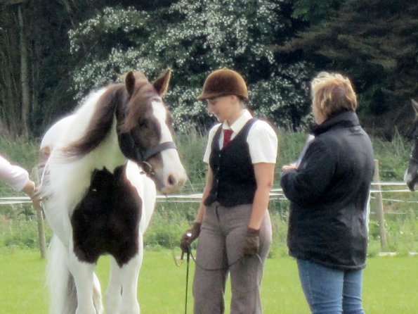 Condition and turnout (7)