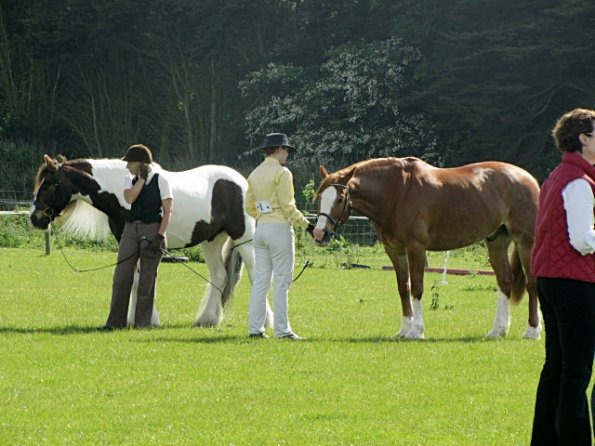 Condition and turnout (8)