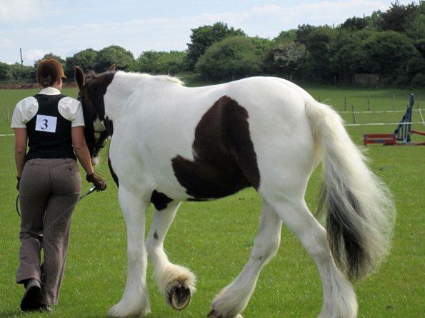 Condition and turnout