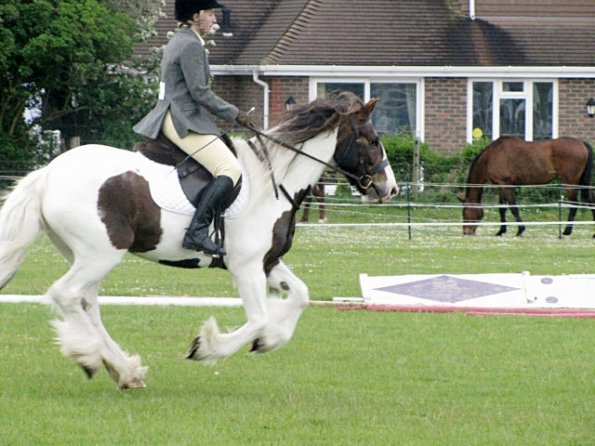 Lance canter (2)