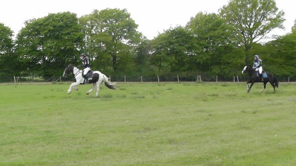 Anna and Verity pairs (4)