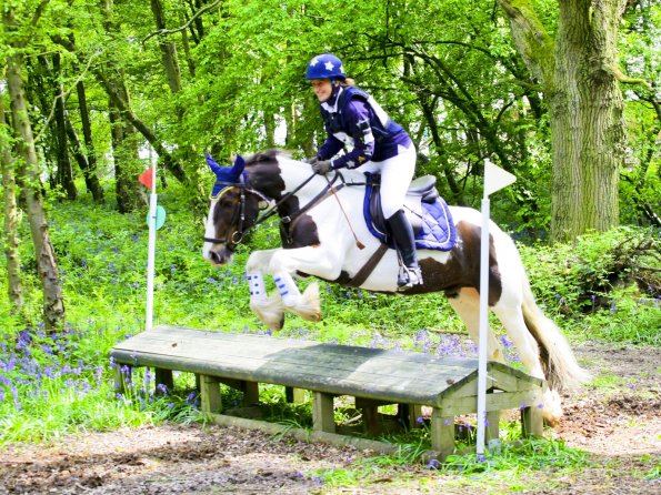 Anna Lance bluebells