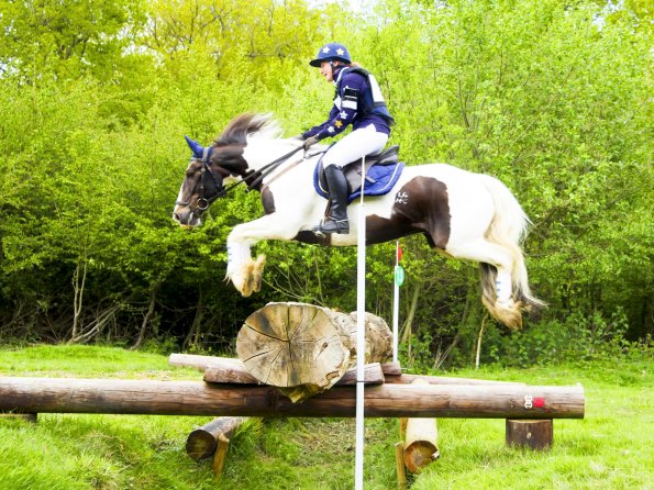 Anna Lance trakehner