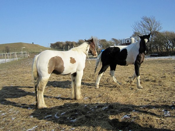 JD and Lance playing (2)