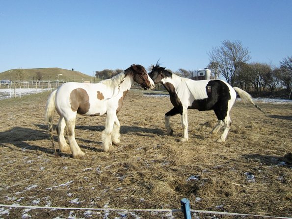 JD and Lance playing (3)