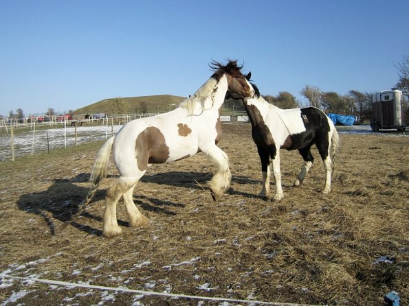 JD and Lance playing (4)