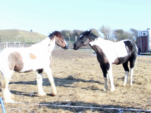 JD and Lance playing (5)