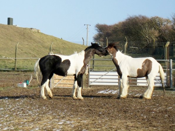 JD and Lance playing