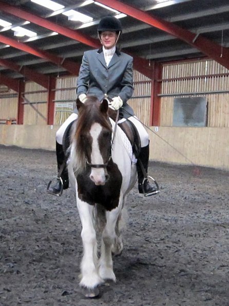 Plumptong dressage warmup (3)