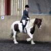 Plumptong dressage warmup (4)