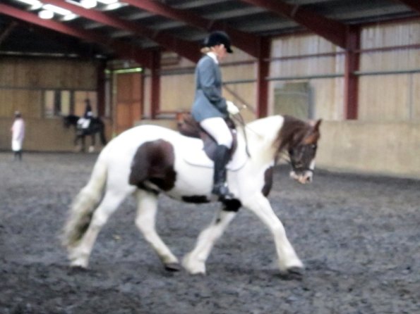 Plumptong dressage warmup (5)