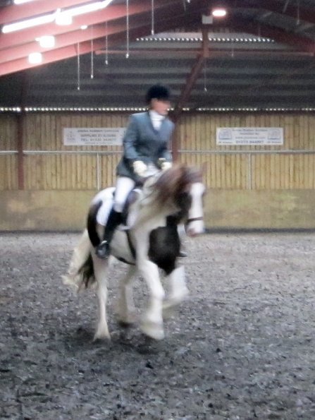 Plumptong dressage warmup (7)