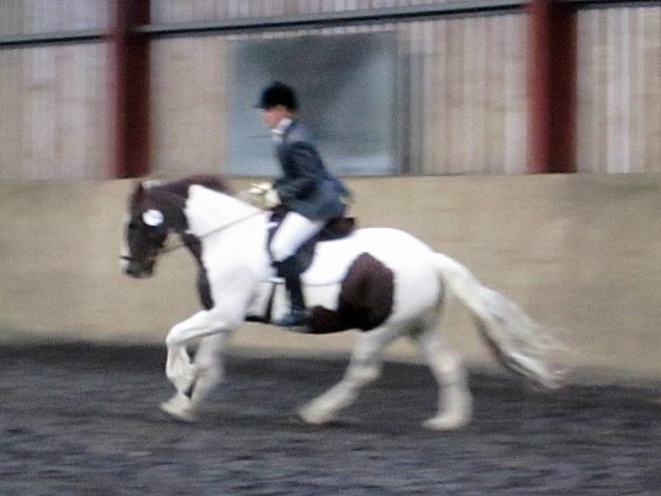 Plumptong dressage warmup (8)