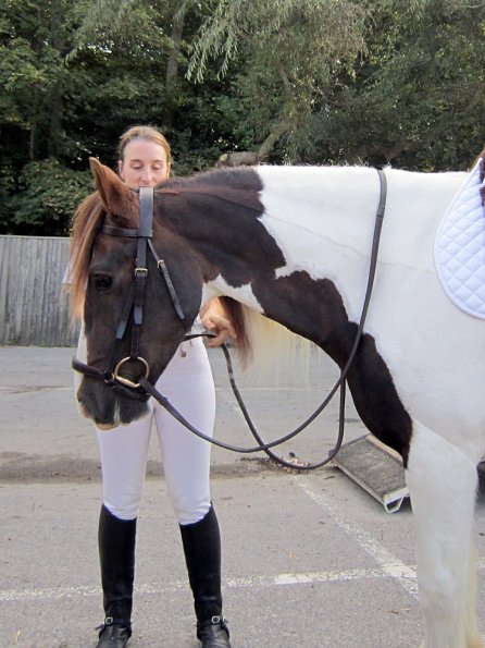Plumptong dressage warmup