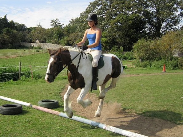 Lance canter poles (2)