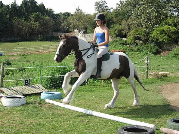 Lance canter poles (3)