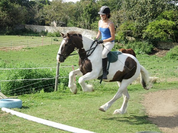 Lance canter poles (4)