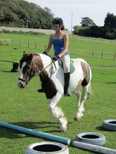 Lance canter poles (5)