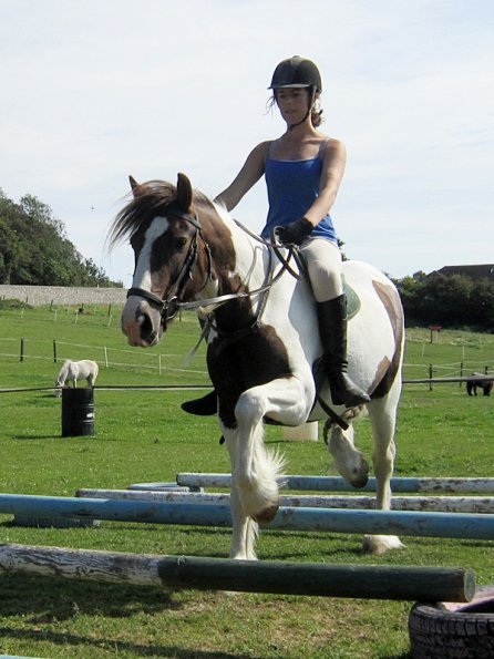 Lance elevated poles (2)