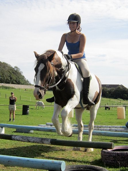 Lance elevated poles (3)