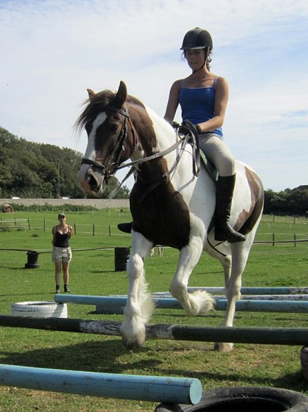 Lance elevated poles (4)