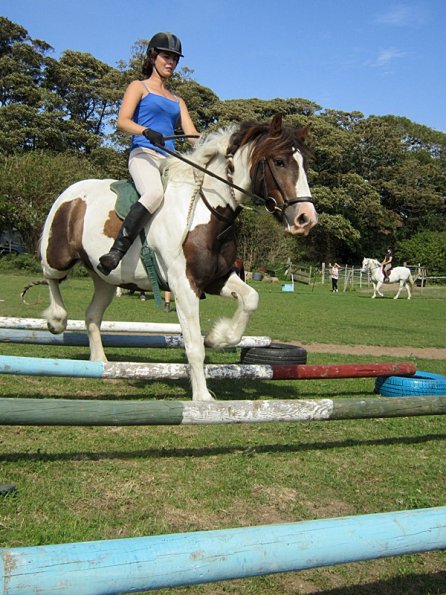 Lance elevated poles (5)