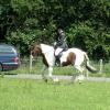 Lance dressage (3)