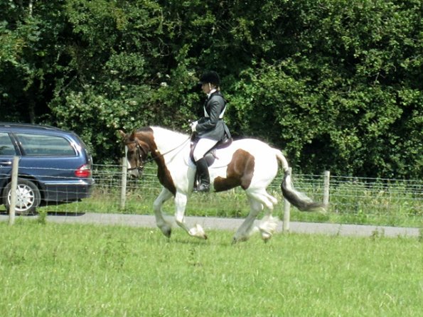 Lance dressage (3)