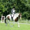 Lance dressage (4)