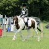 Lance dressage (7)