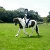 Lance dressage (9)