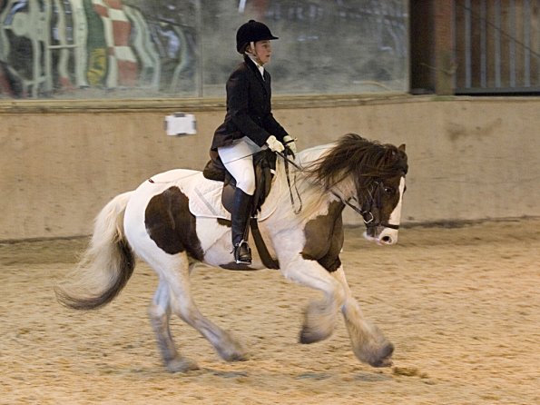 Official photos (10)