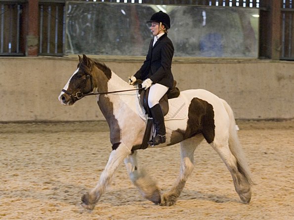 Official photos (11)