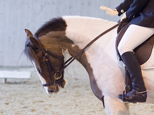 Official photos (14)