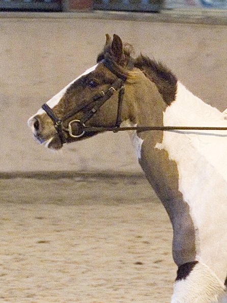 Official photos (15)