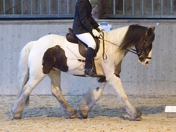 Official photos (16)