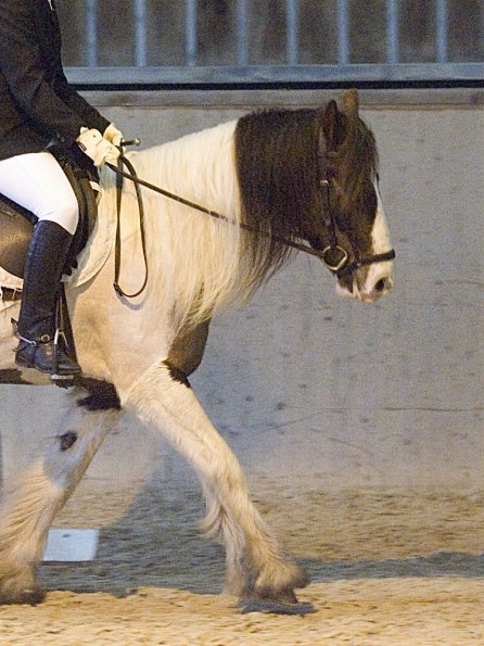 Official photos (17)