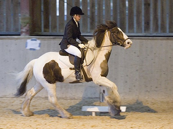 Official photos (18)