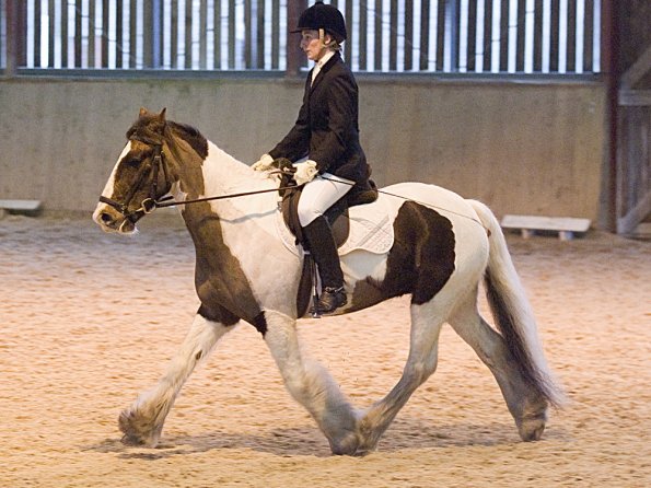 Official photos (20)